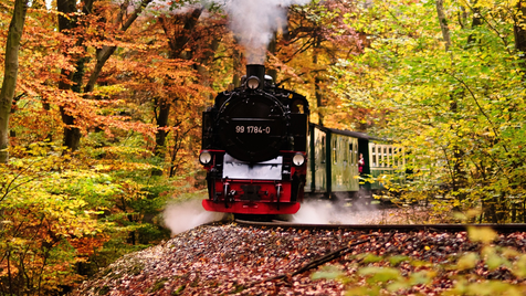 Mit MACH auf sicheren Gleisen fahren - Die Neuregelung des § 2b UStG
