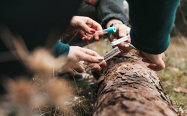 Digitaler Beschaffungs- und Rechnungsworkflow im Landebetrieb Wald und Holz NRW - Personen untersuchen Holz einer Baumrinde