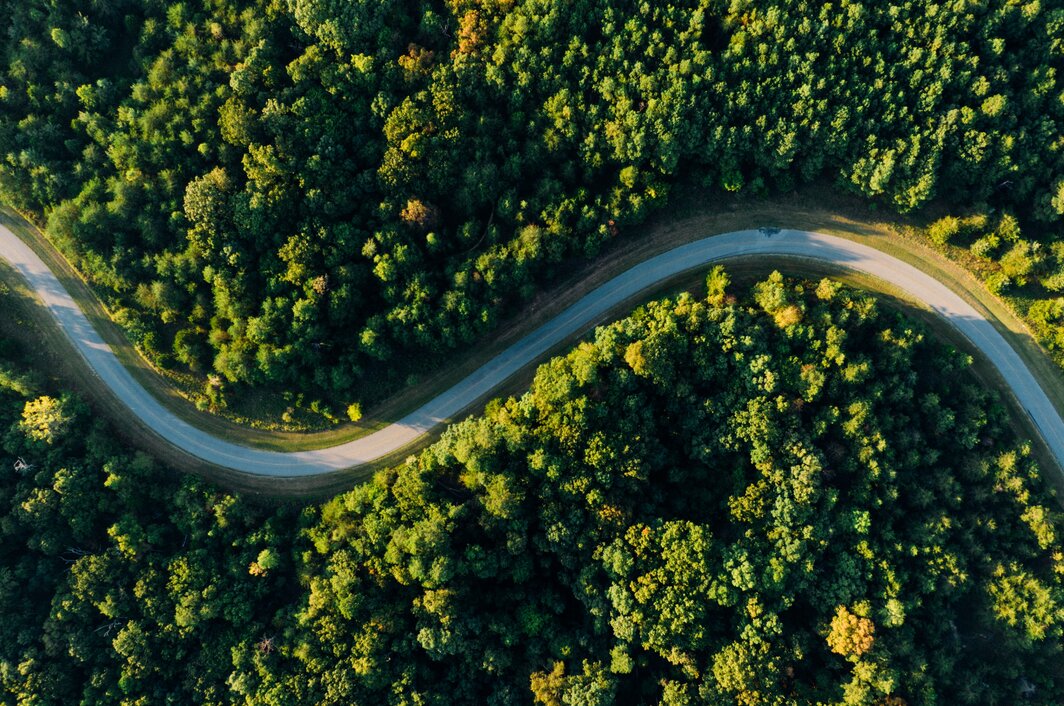 Landstraße durch einen dichten Wald aus der Vogelperspektive