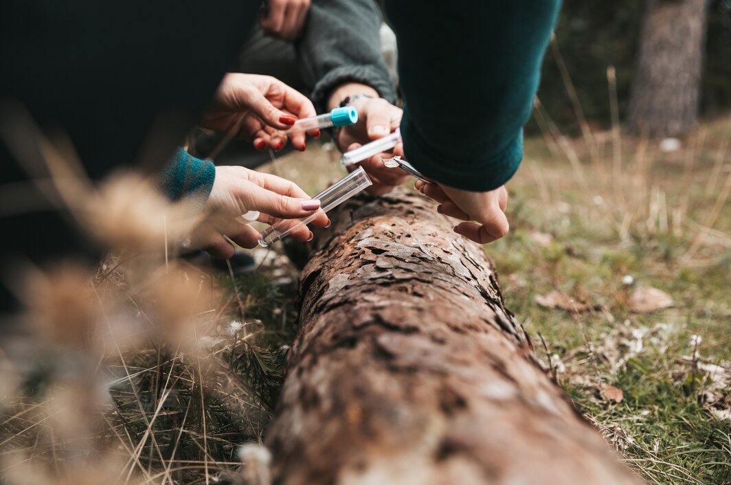 Digitaler Beschaffungs- und Rechnungsworkflow im Landebetrieb Wald und Holz NRW - Personen untersuchen Holz einer Baumrinde