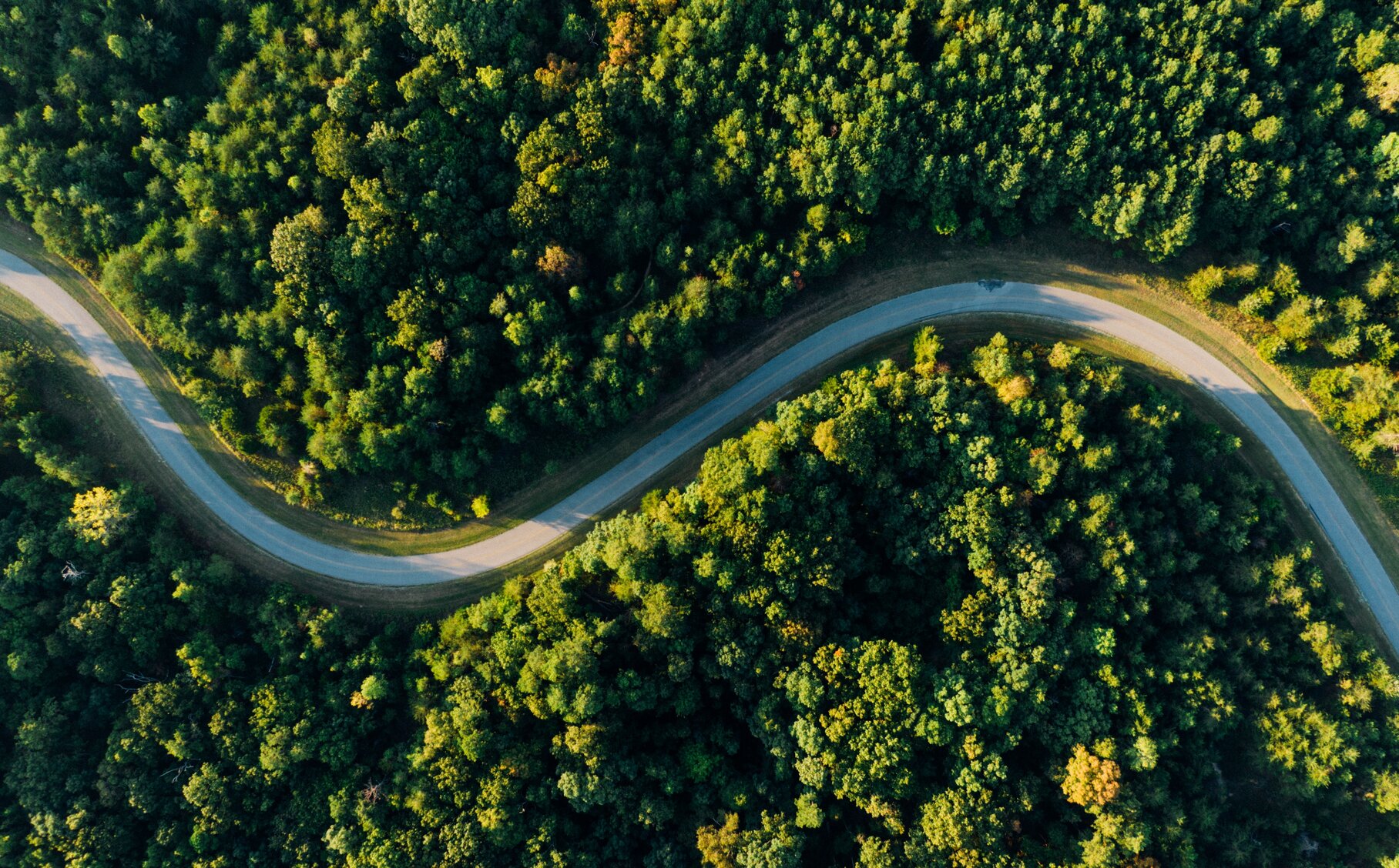 Gemeinsam auf dem Weg zu einer modernen Finanzverwaltung Landstraße durch einen dichten Wald aus der Vogelperspektive