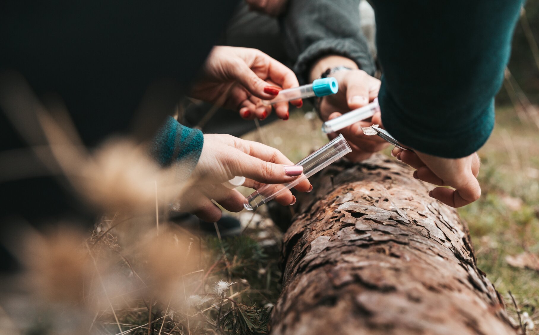 Digitaler Beschaffungs- und Rechnungsworkflow im Landebetrieb Wald und Holz NRW - Personen untersuchen Holz einer Baumrinde
