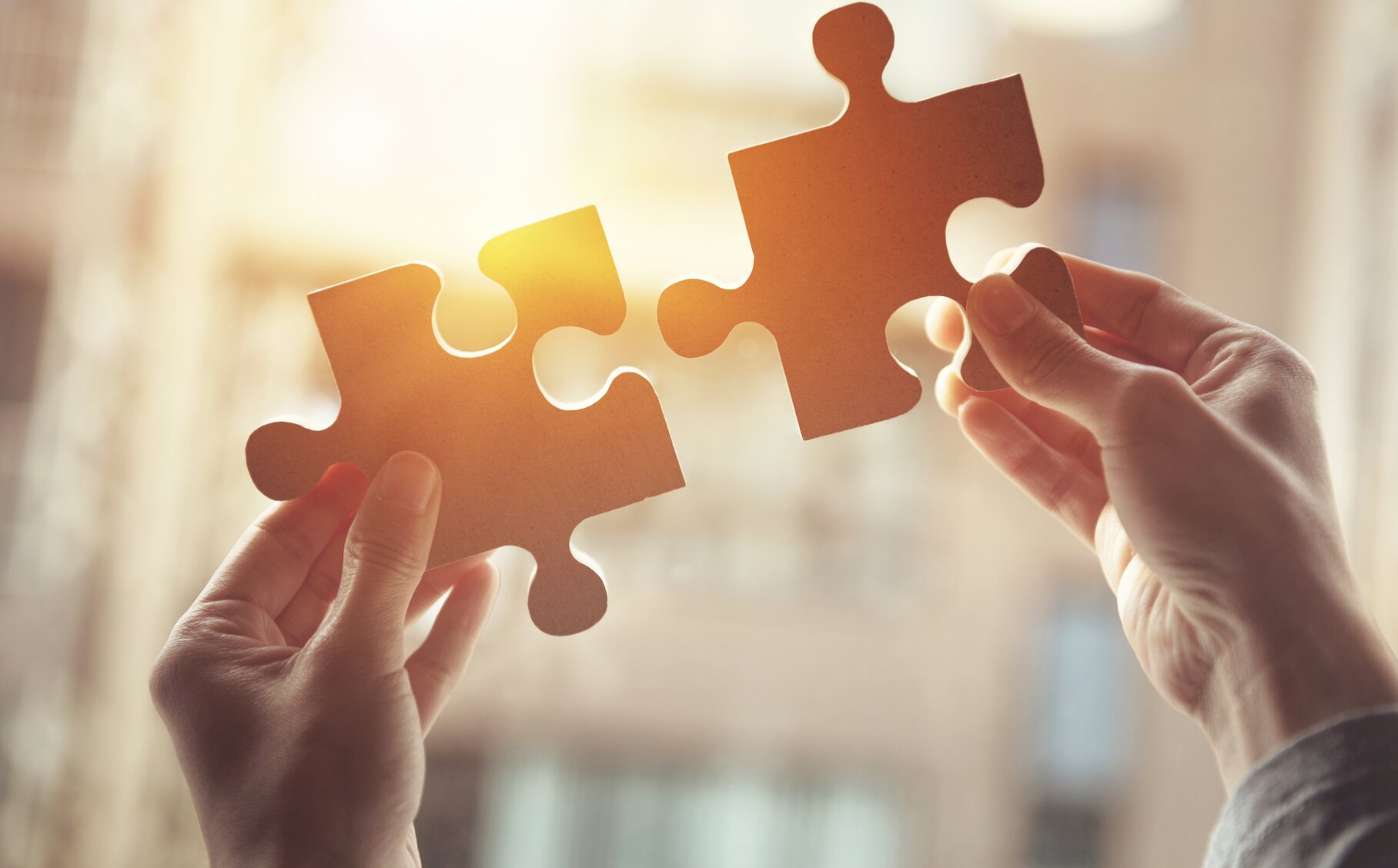 Hier finden Sie Kooperationspartner der MACH AG 2 Puzzlestücke werden in die Sonne gehalten